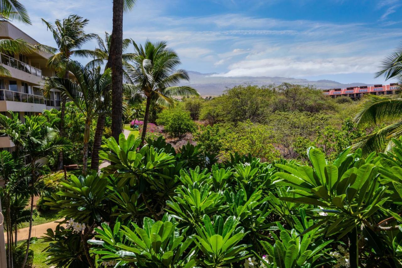 Maui Banyan H311 1Bd 2Ba 3 Min Walk To The Beach In The Heart Of South Kihei! Wailea  Dış mekan fotoğraf