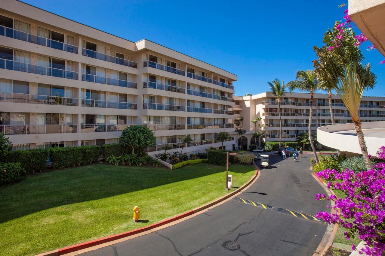 Maui Banyan H311 1Bd 2Ba 3 Min Walk To The Beach In The Heart Of South Kihei! Wailea  Dış mekan fotoğraf