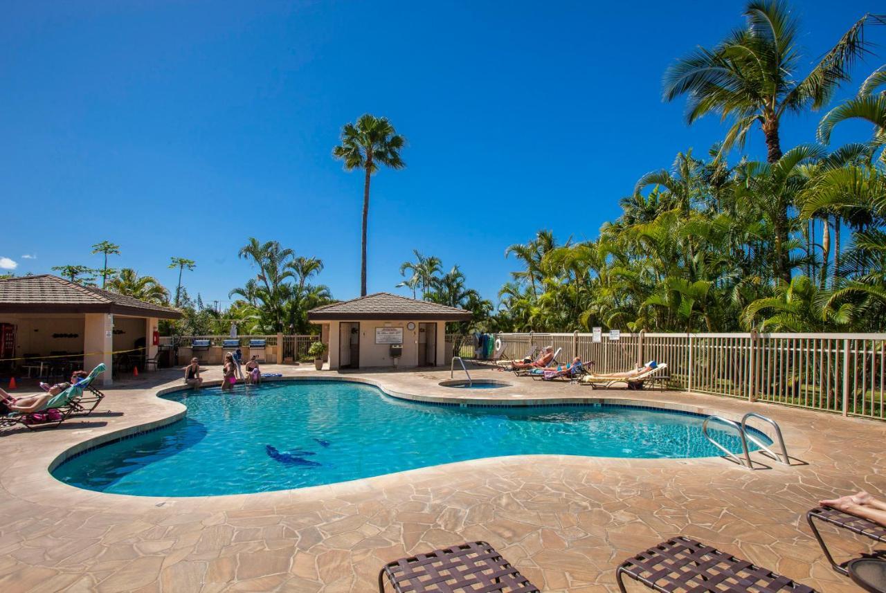 Maui Banyan H311 1Bd 2Ba 3 Min Walk To The Beach In The Heart Of South Kihei! Wailea  Dış mekan fotoğraf