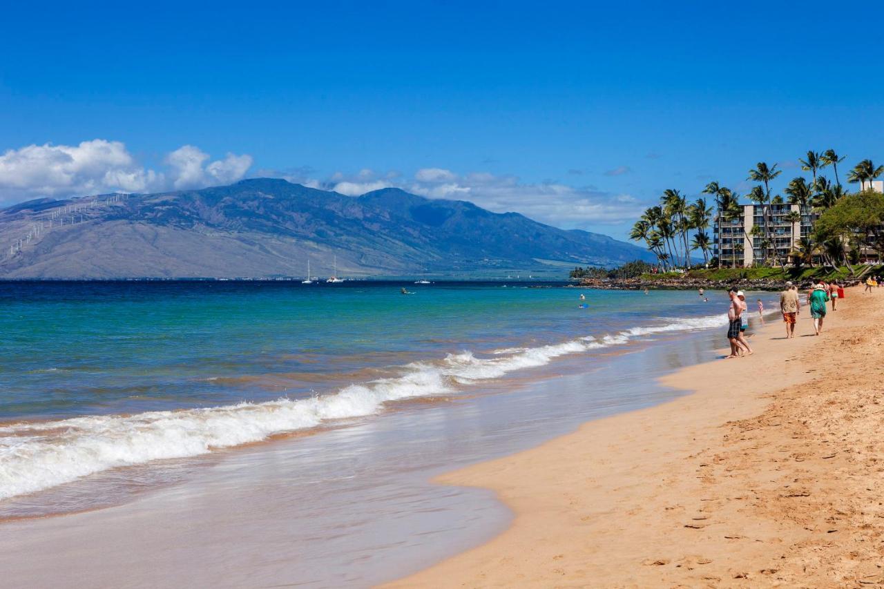 Maui Banyan H311 1Bd 2Ba 3 Min Walk To The Beach In The Heart Of South Kihei! Wailea  Dış mekan fotoğraf