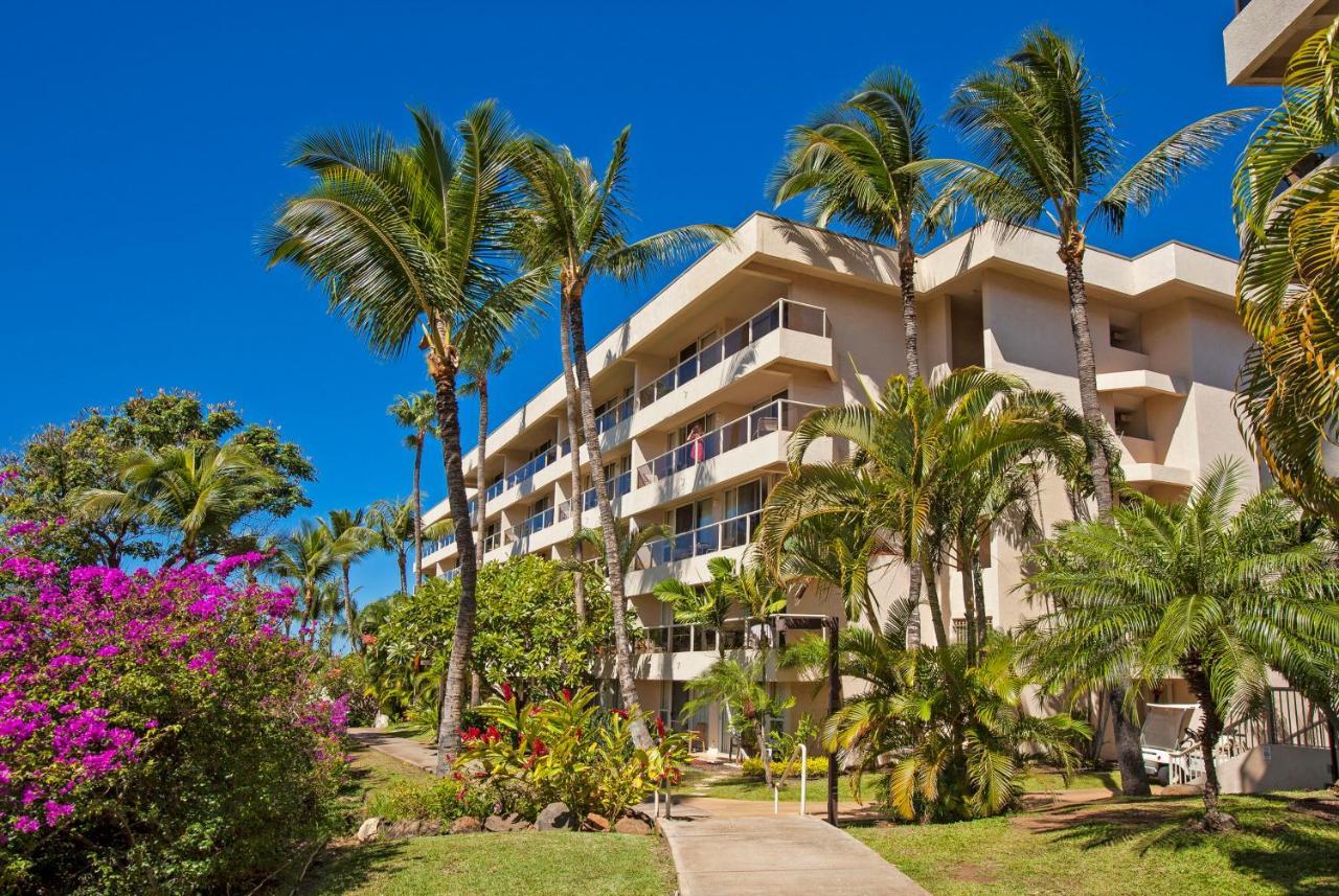 Maui Banyan H311 1Bd 2Ba 3 Min Walk To The Beach In The Heart Of South Kihei! Wailea  Dış mekan fotoğraf